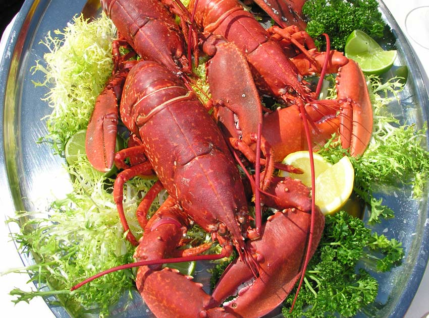 Skye Lobsters